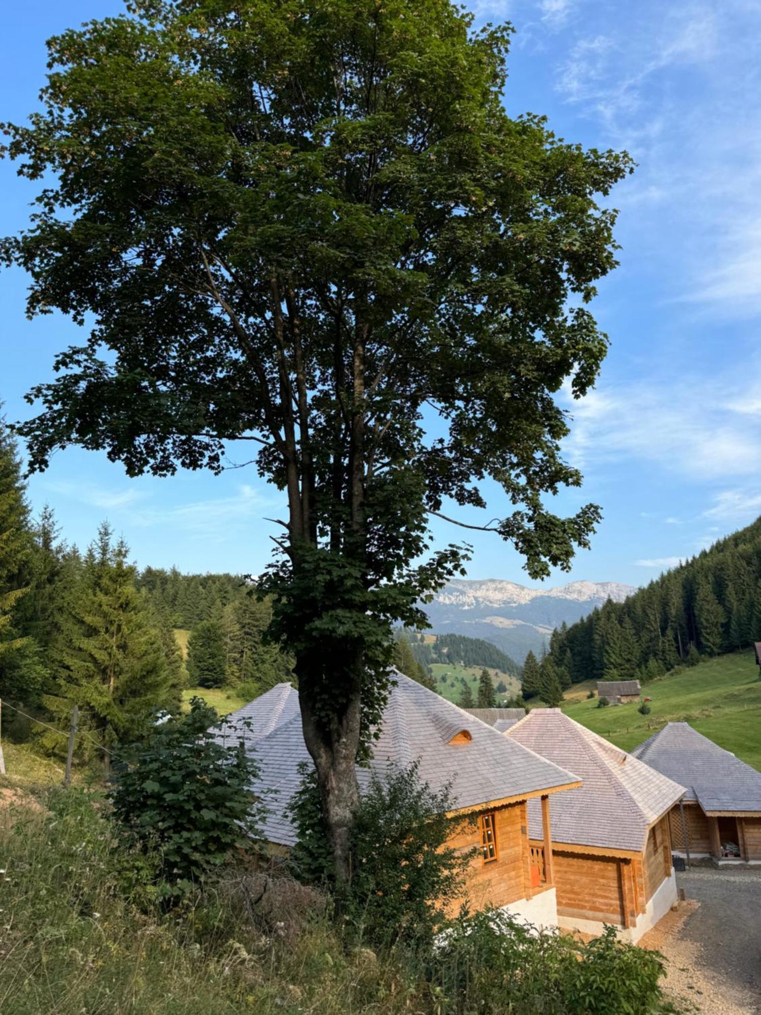 Andolia Lodge *